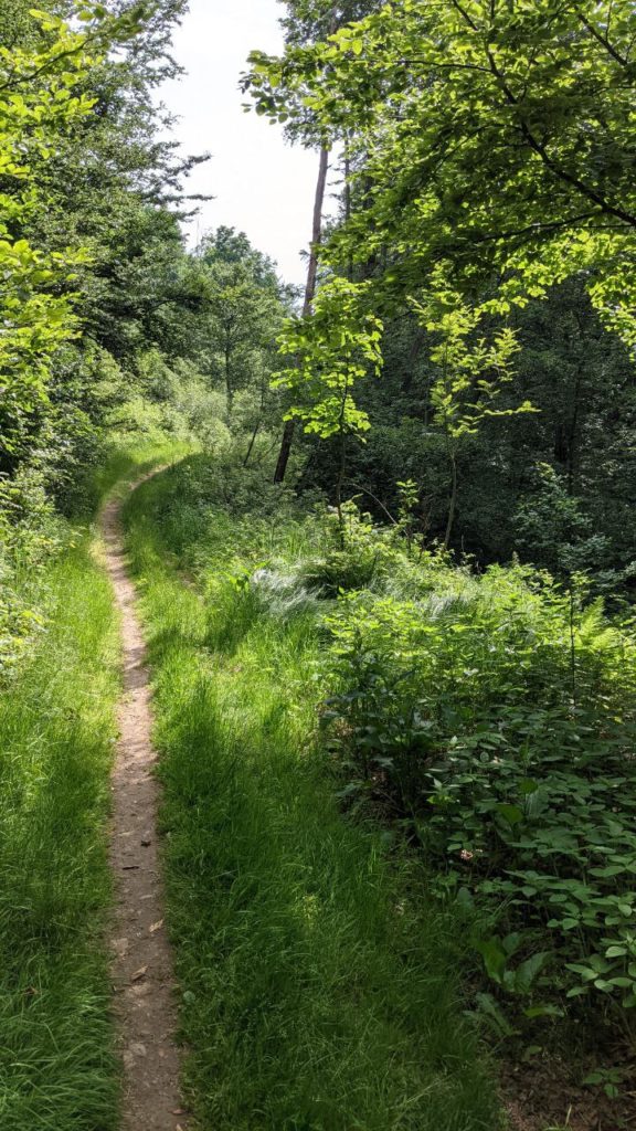 trail